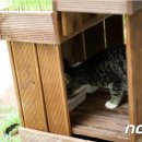 ㈜펫트코리아 이미지
