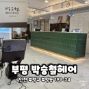 썬미용실 | [인천 부평] 부평 미용실 박승철 헤어 스튜디오 애쉬브라운 염색 잘하는곳 후기