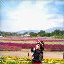 대장농원 이미지