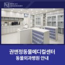 권앤정 동물외과병원 이미지