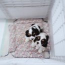 카페상상 이미지