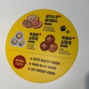 수려한약국 | 청주 대형 고양이카페 쵸이캣 방문후기 l 주차·이용요금·층별 정리