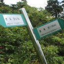 국립청옥산자연휴양림 Daum카페