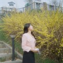 [ 필름 카메라 인화 맛집 팔레트 사진관 ] 봄 추억 가을에 열어보기