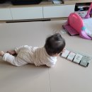 북치농장 네이버블로그