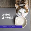 더바른 동물병원 이미지