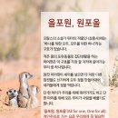올포원 - 김해시 | 올포원