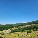 삼덕공원 앞 이미지