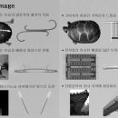 원평육교 - 정선군 | 원평육교