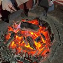 숲속애견랜드 | 신촌 찜질방 추천｜숲속한방랜드 삼겹살 직접 다녀온 내돈내산 리얼 후기