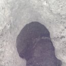 윤아의 발자국 아닙니다.(용암이 식으면서 떨어져 나간 형상이랍니다.2017년 3월25일 제주자연사박물관 전문가 확인) 이미지