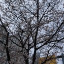 장자대로 이미지