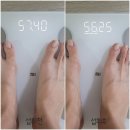 병원전용 독소배출 유산균 닥터에이지이 씨엠엘 당독소저감 김치유래유산균