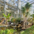 강화군 티앤림 자연휴양림 | 인천 강화군 티앤림 자연휴양림+레포츠파크 액티비티 짚라인 즐기기