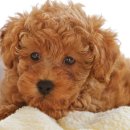 공인중개사(민법) 이미지