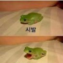 호텔 아크로 네이버블로그