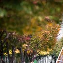 당곡고등학교 이미지