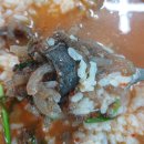 박가네순대국밥 | 창원 사파동 맛집 [백암박가네순대국] 내돈내산 솔직후기 창원맛집