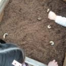 포시즌농장 이미지