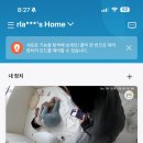 첫 사회생활