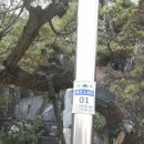 미양공원 Daum카페