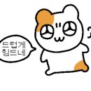 새왕약국 이미지