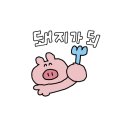 오팔식당 이미지