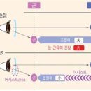 눈사랑안경원 이미지