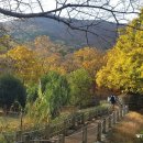 내수면환경생태공원주차장 이미지