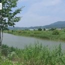 은행공원 내 이미지