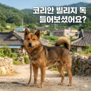 코리안 빌리지독 2(펌) 이미지