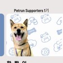 펫런 네이버블로그