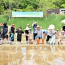 숲해설체험 이미지