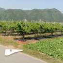 신라부동산공인중개사사무소 이미지