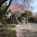 강정동 186-4 이미지