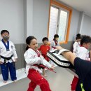 화신태권도 네이버블로그