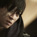 카멜리아 이미지