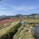 김천연합동물병원 이미지