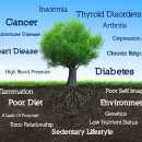 린내과의원 이미지