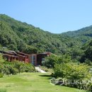 민주지산자연휴양림 이미지