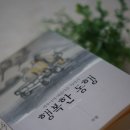 [행복한 동행 ]피오나의 아름다운 이야기 삶의 이야기 책 이미지
