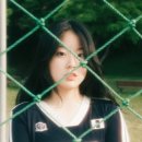 바카이빙 이미지