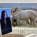르니나 LENINA 사나 2024 FW 컬렉션 더현대 서울 팝업 스토어 다녀온 후기