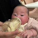 압타밀 갈아타기 (2) | 압타밀 -> 명작 갈아타기 일주일 후기 및 변 상태 (사진 有) / 명작 할인 방법