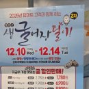 마산 어시장 근처 탑마트 생굴 특가 후기 – 수목돌풍 덕분에 굴 가격 미쳤다! 🦪