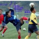 그냥 이미지