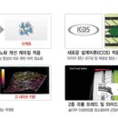 금호KTS 티스토리