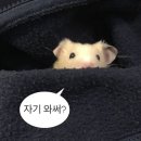 미나리삼겹살 이미지