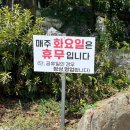 자연밥상고기쌈밥