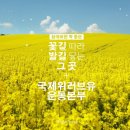 새명(유) 이미지
